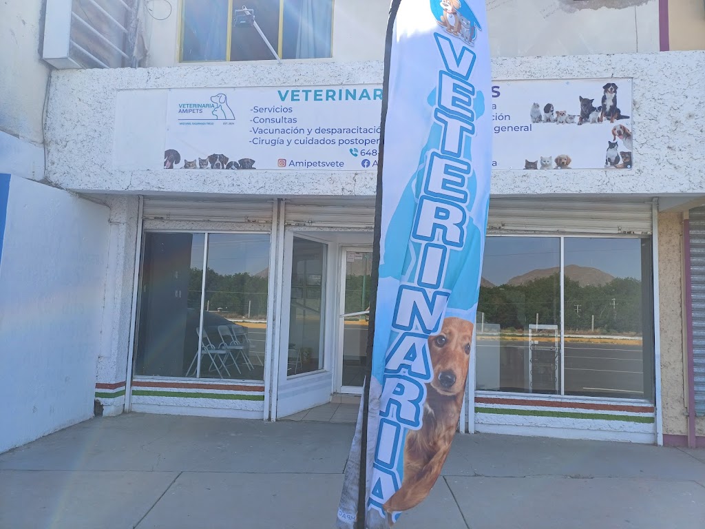 Amipets Clinica Veterinaria