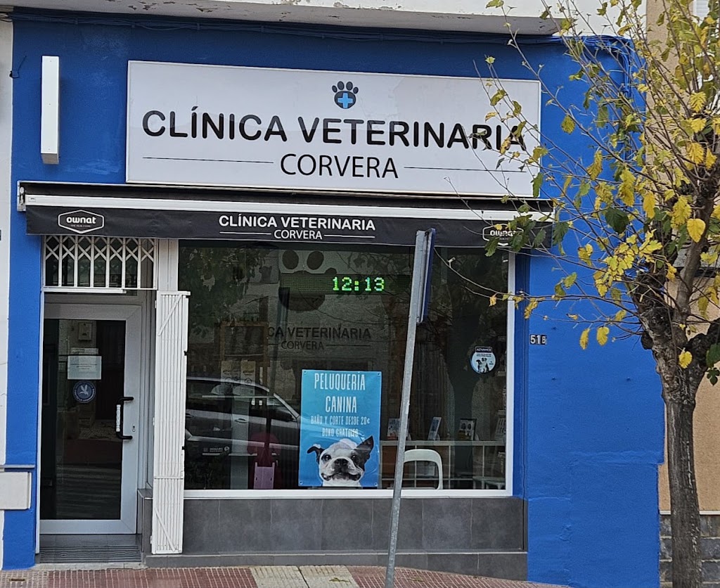 Clinica Veterinaria Corvera