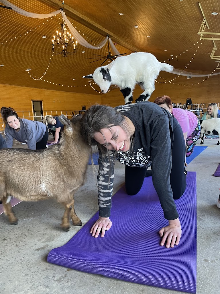  Goat Yoga of Southern IL