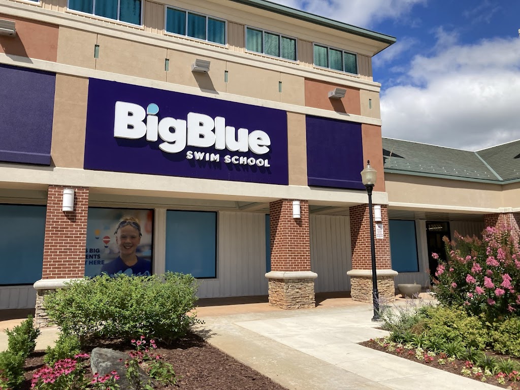  Big Blue Swim School