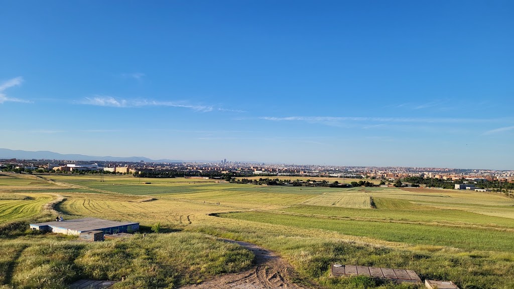 Cerro de Buenavista