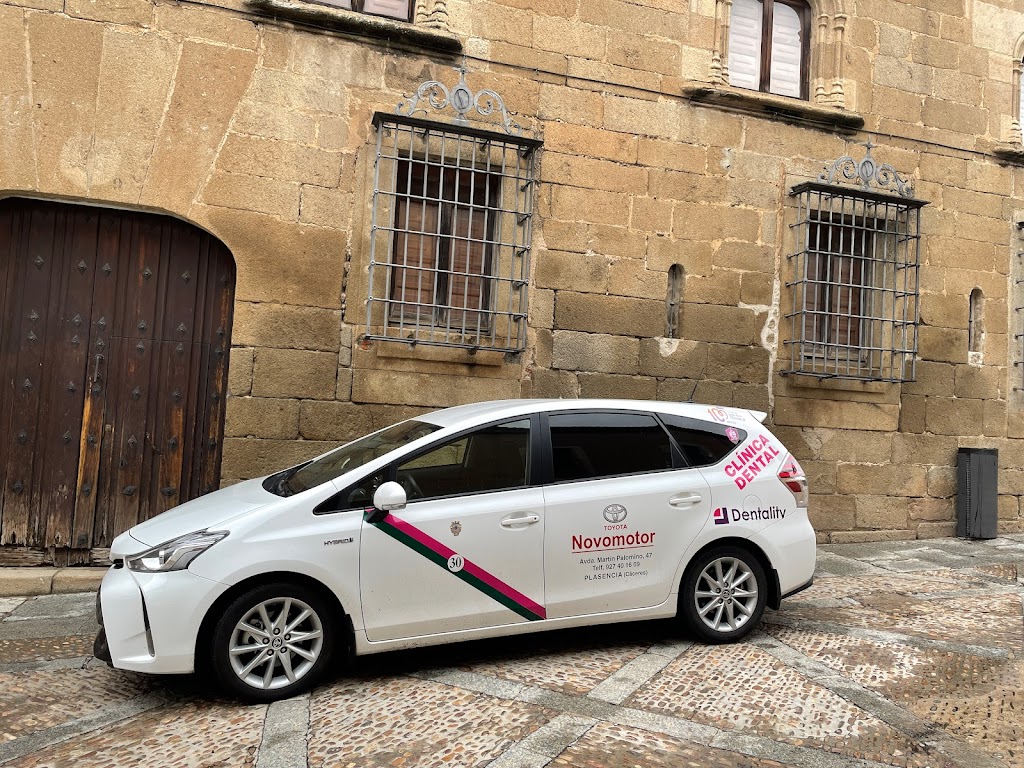 TAXI PLASENCIA JOSE MARIA 7 PLAZAS