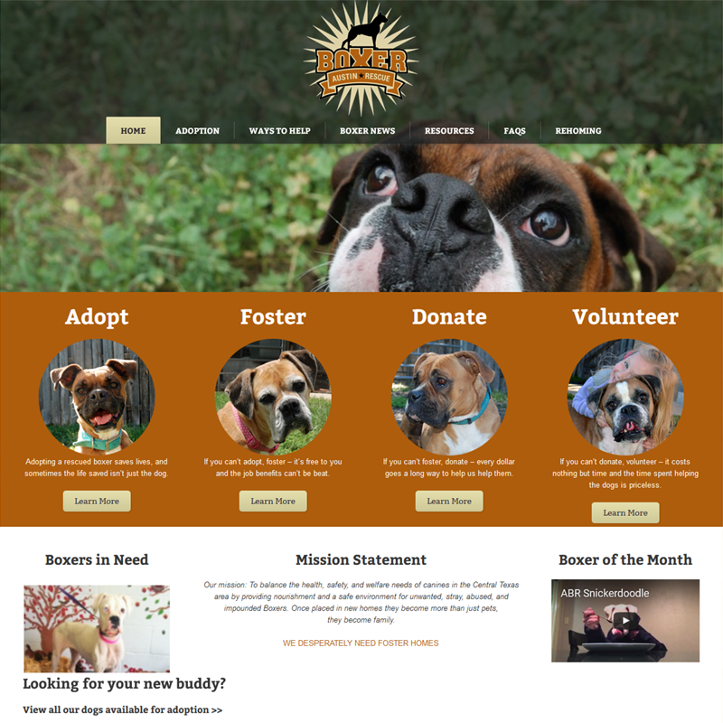 Website Design Austin Texas