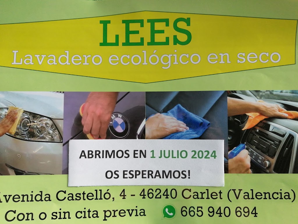 LEES Lavadero Ecologico de coches en seco — Del propietario