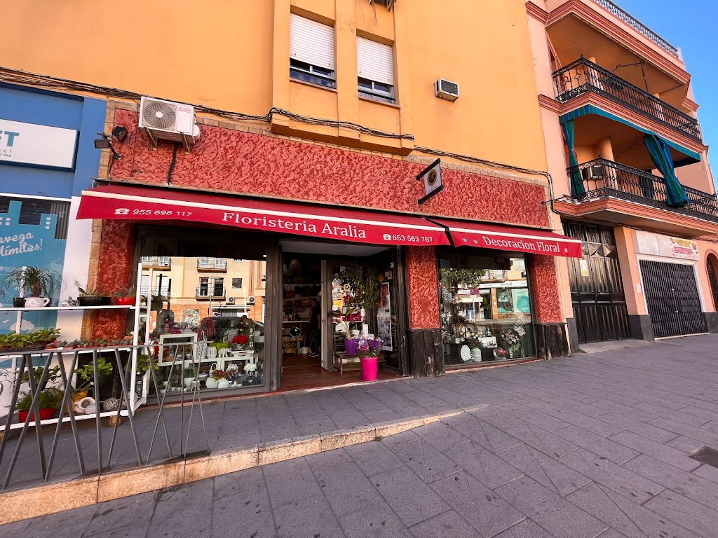 Floristeria Aralia