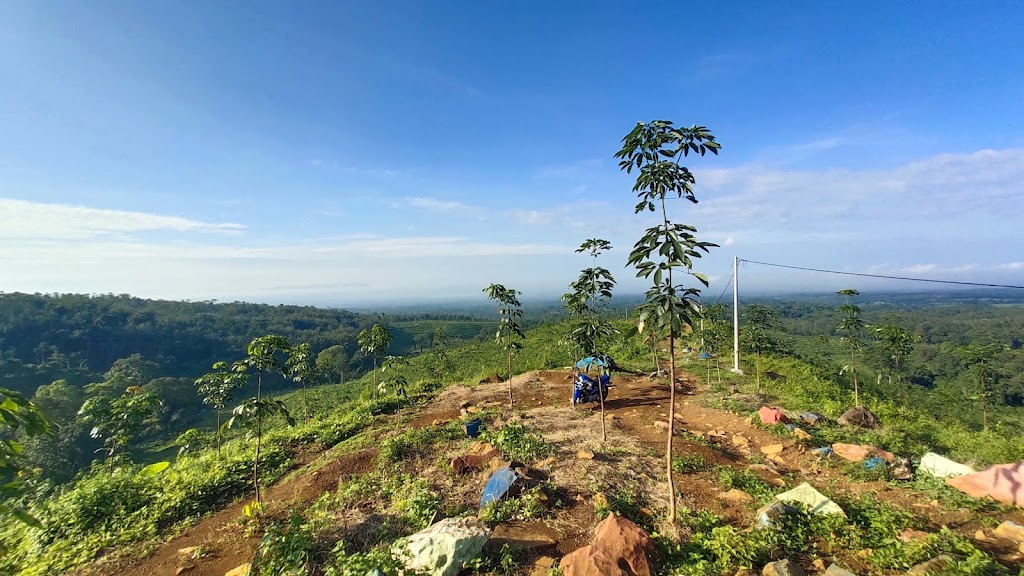Bumi Perkemahan "BUKIT PERTAPA"