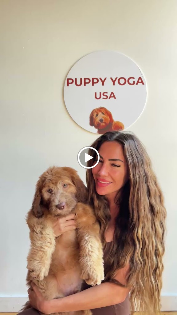  Puppy Yoga USA