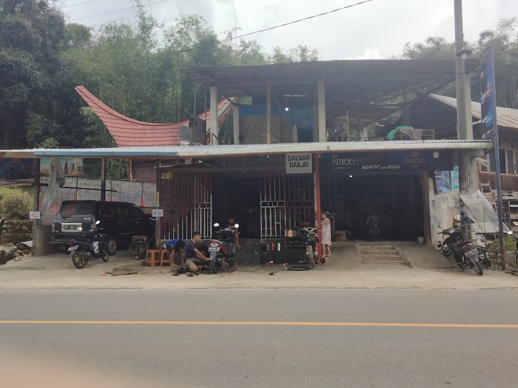 SALVAR DAMAI