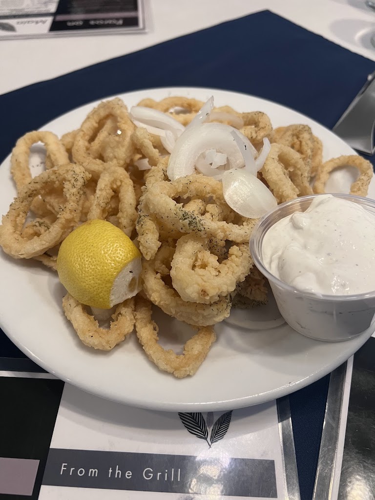 Squid