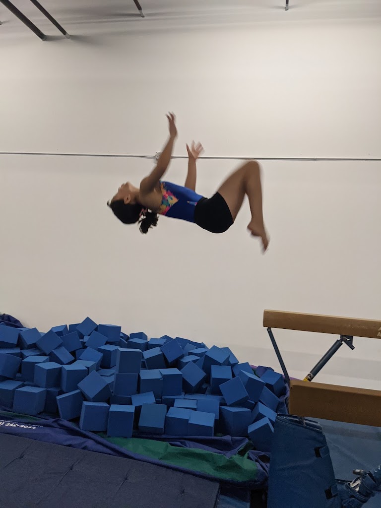  Eastlake Gymnastics