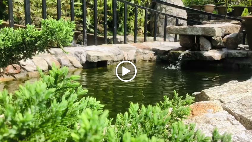 Videos