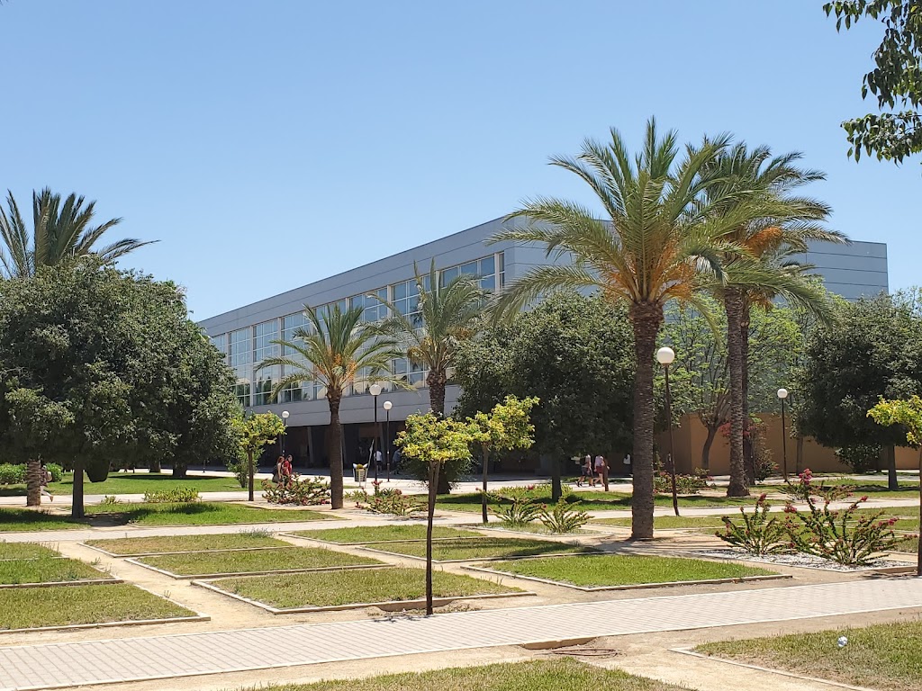 SSA Education Abroad Alicante