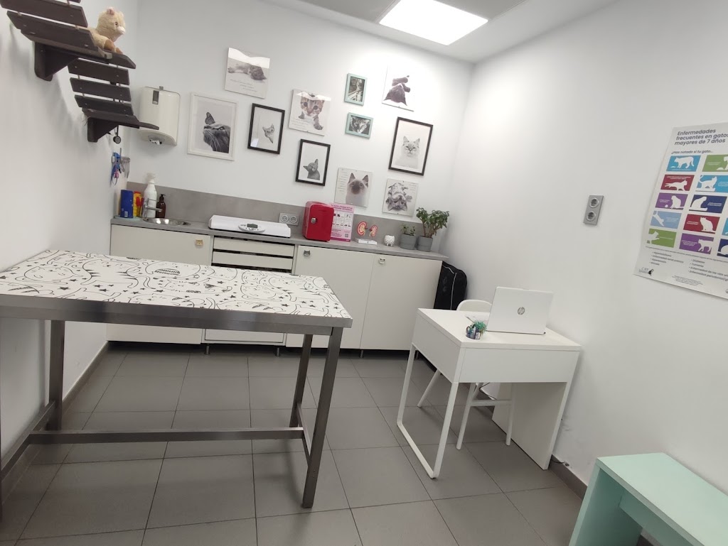 Centro Veterinario Ezkaba — Del propietario