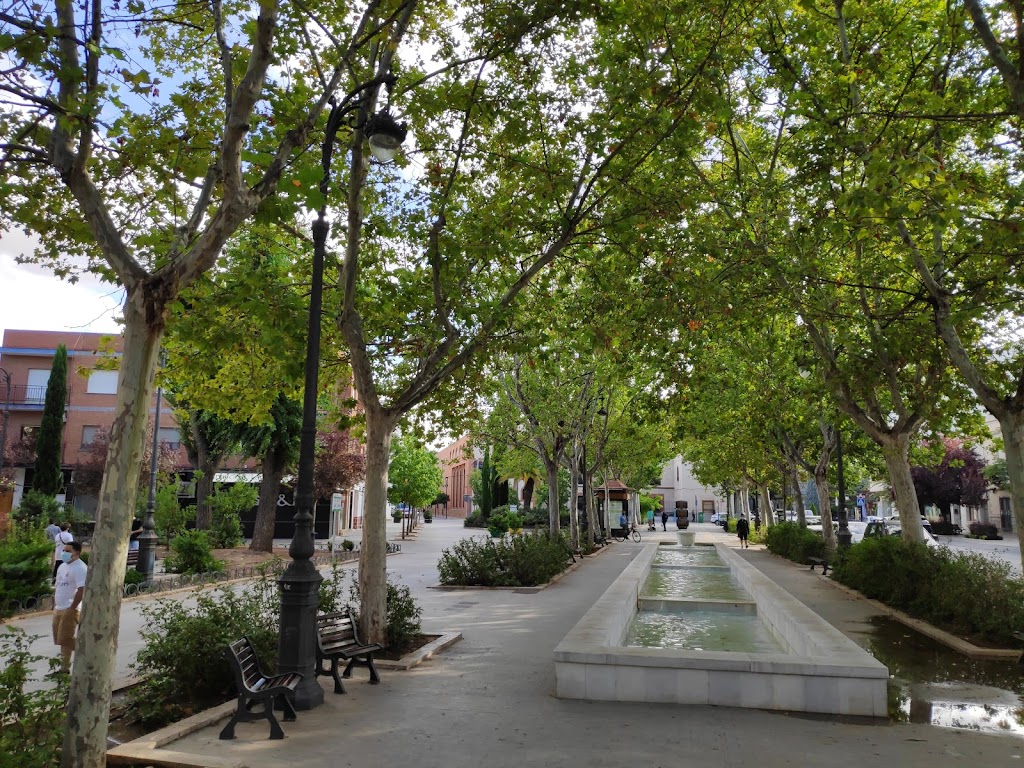 Paseo de las Moreras