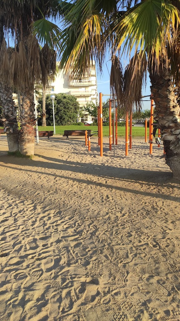Street workout La Pineda