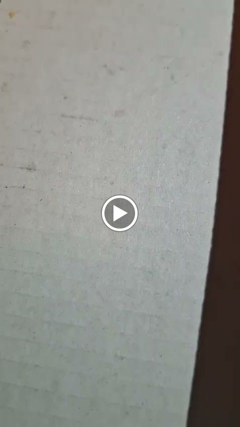 Slpzz Pizza carcaixent — Videos