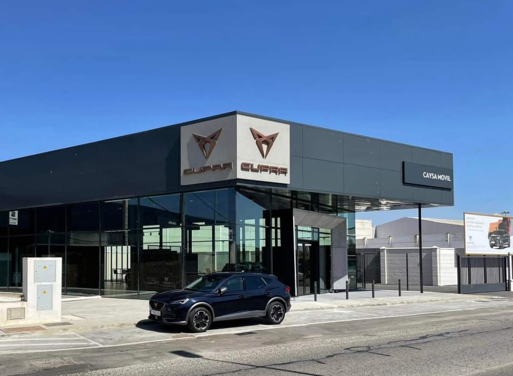 Caysa Movil Fleets — Del propietario