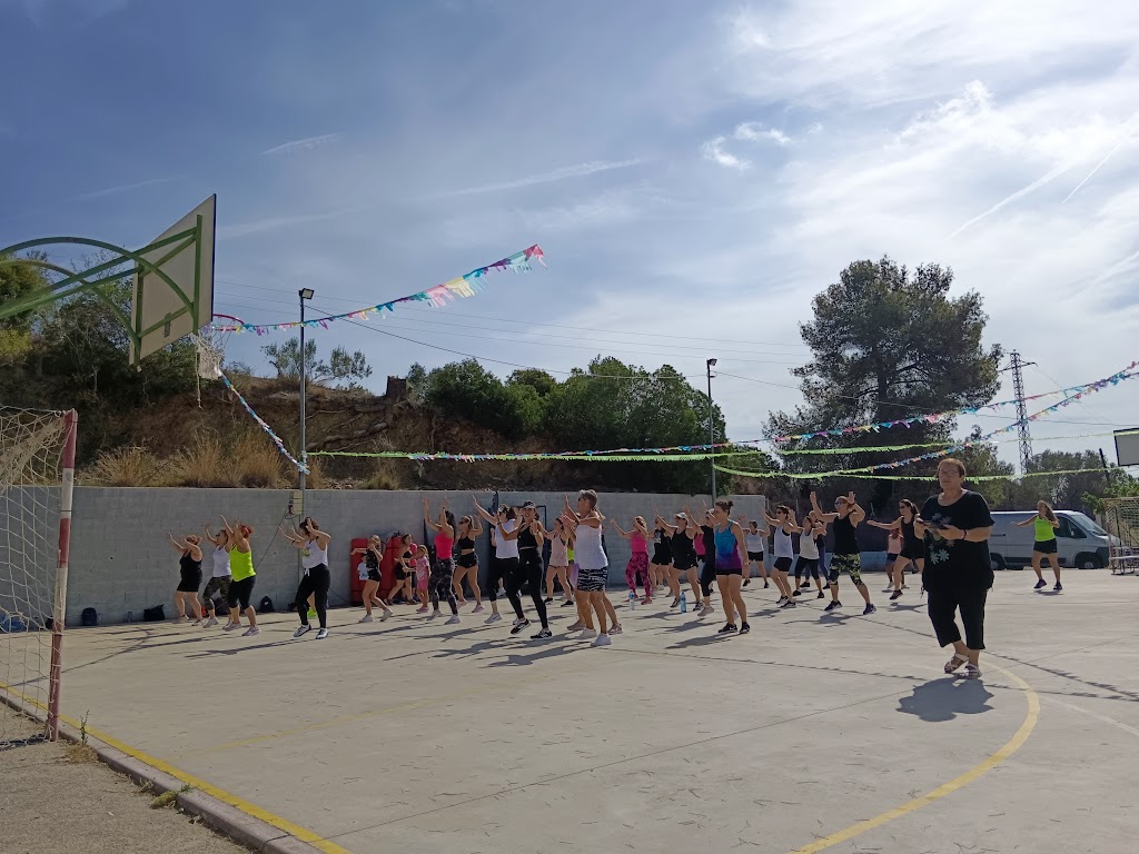 Associacio de veins de Can Costa