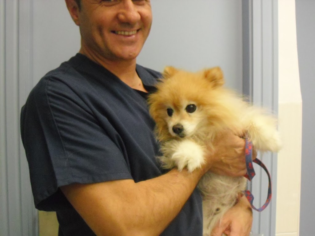 Clinica Veterinaria Vetagro