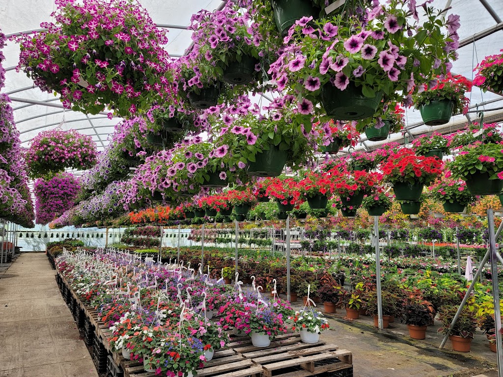 Westland Florist & Greenhouse