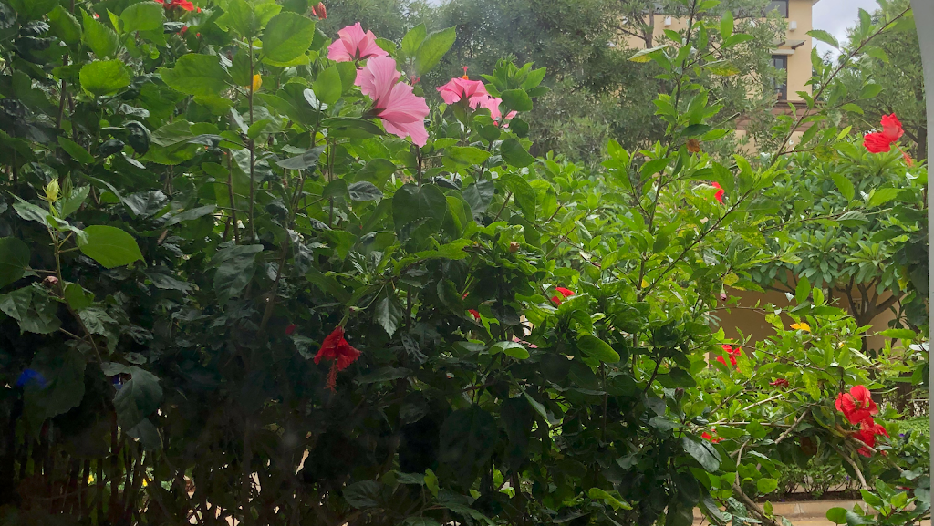 Dr. Dr Deepak Krishnamurthy