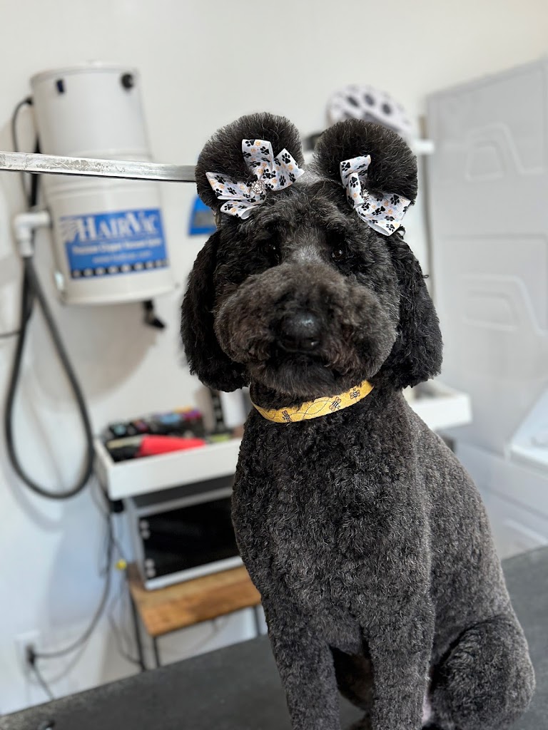 Clip and Fluff Dog Grooming in South Jordan