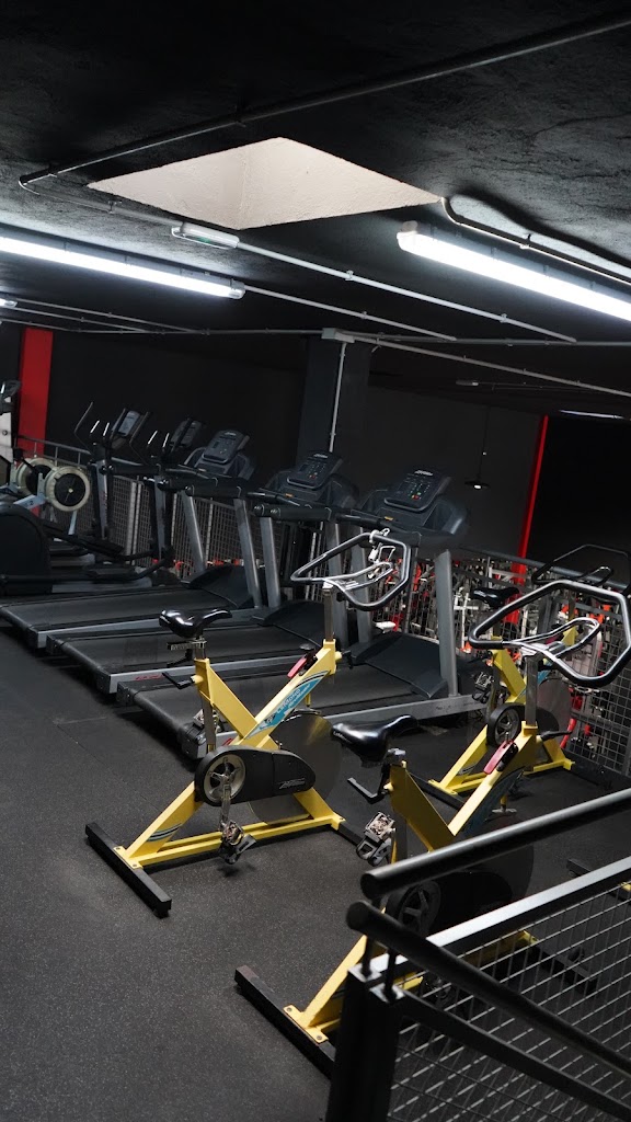 Titan Fitclub — Ejercicio fisico