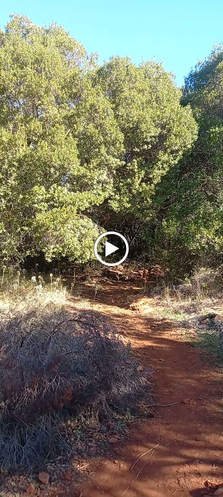 Penon Gordo — Videos