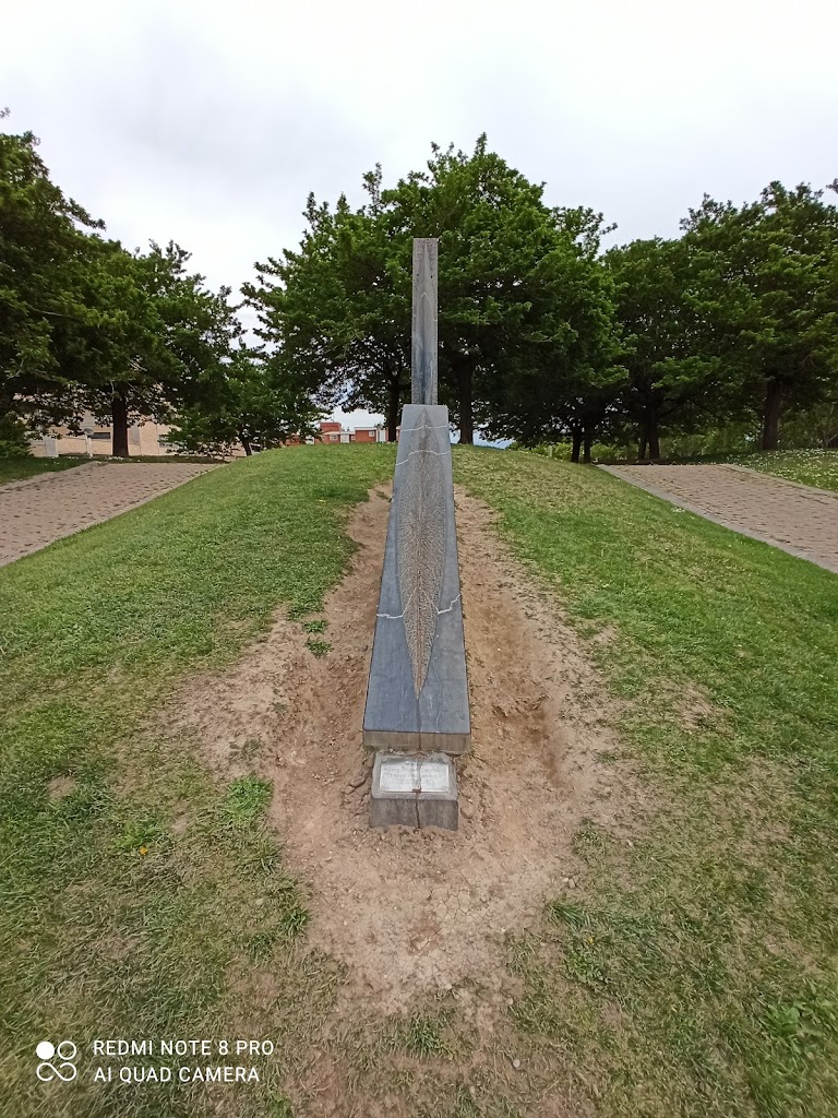 Tiempo Irrecuperable