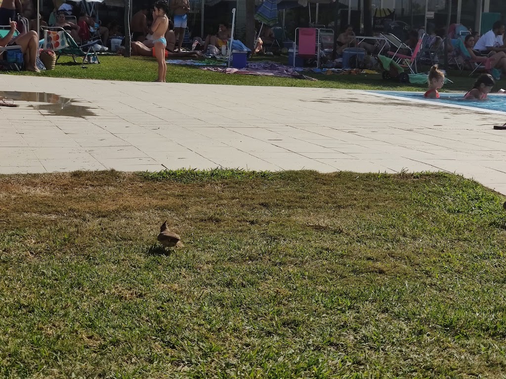 Patronato de Deportes