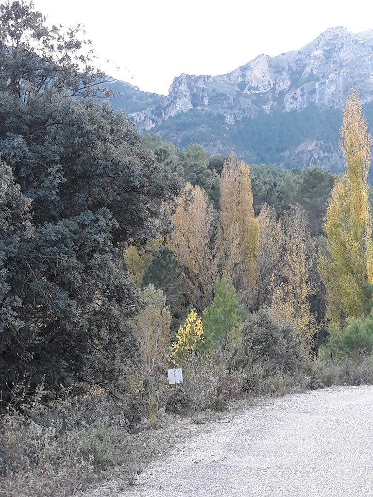 La Moheda