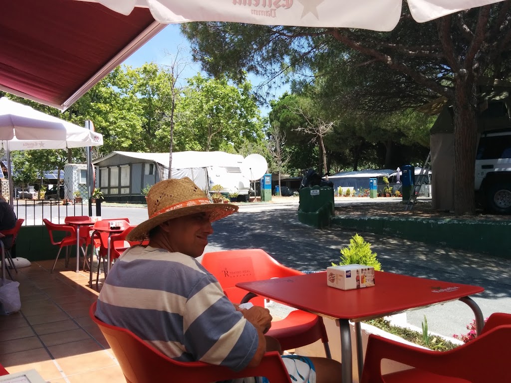 Bar Camping Los Jarales — Ambiente