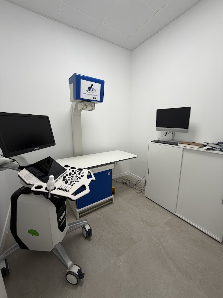 Clinica Veterinaria Montano — Del propietario