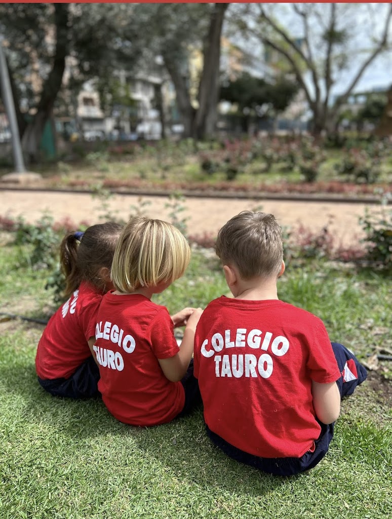 Centro Privado De Ensenanza Tauro