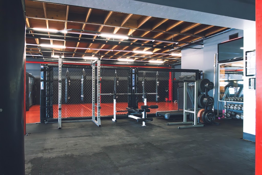  Boxing Fit University