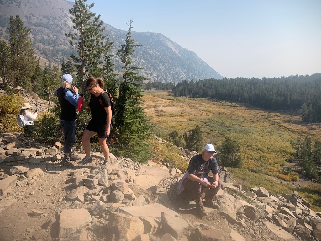  MTROSE Fitness & Functional Wellness