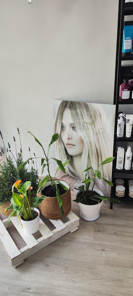 Les Pintes, peluqueria, centro de belleza — Peinado