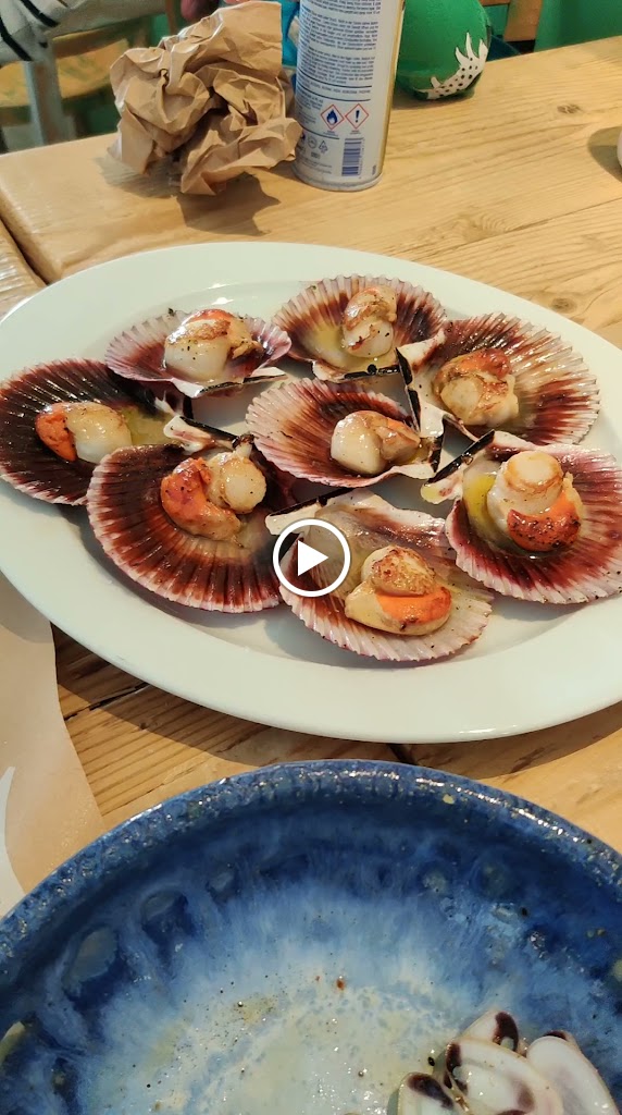 Sol i Mar Calella — Videos