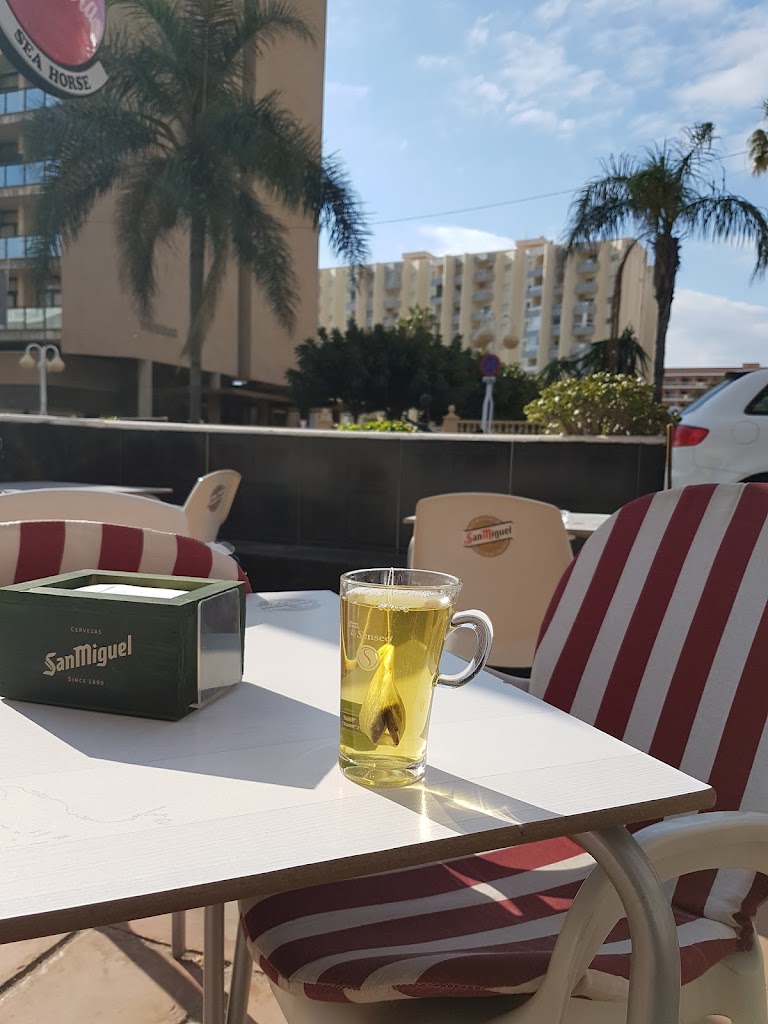 Caballito de Mar - The Sea Horse Bar/Cafe Benalmadena