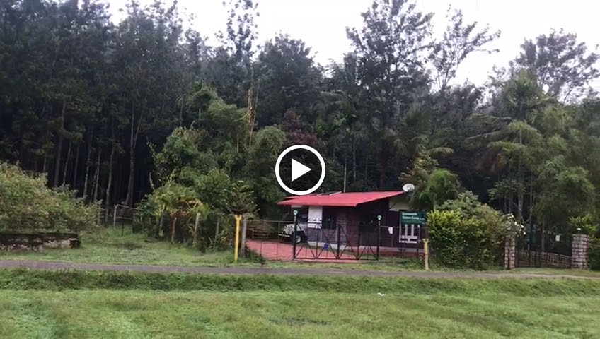 Videos