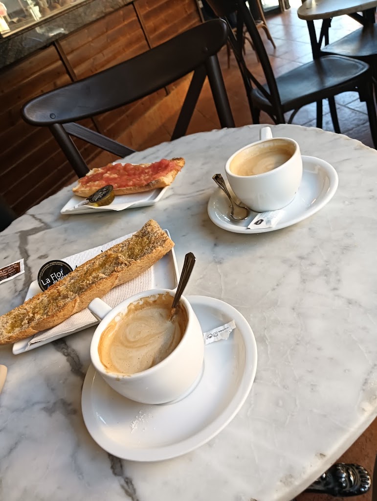 Cafenet — Mas recientes