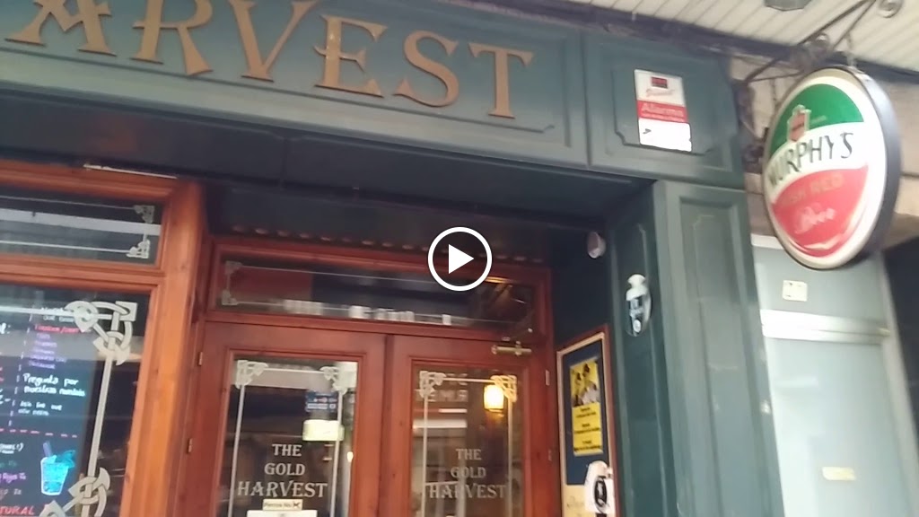 Harvest Irish Pub — Videos