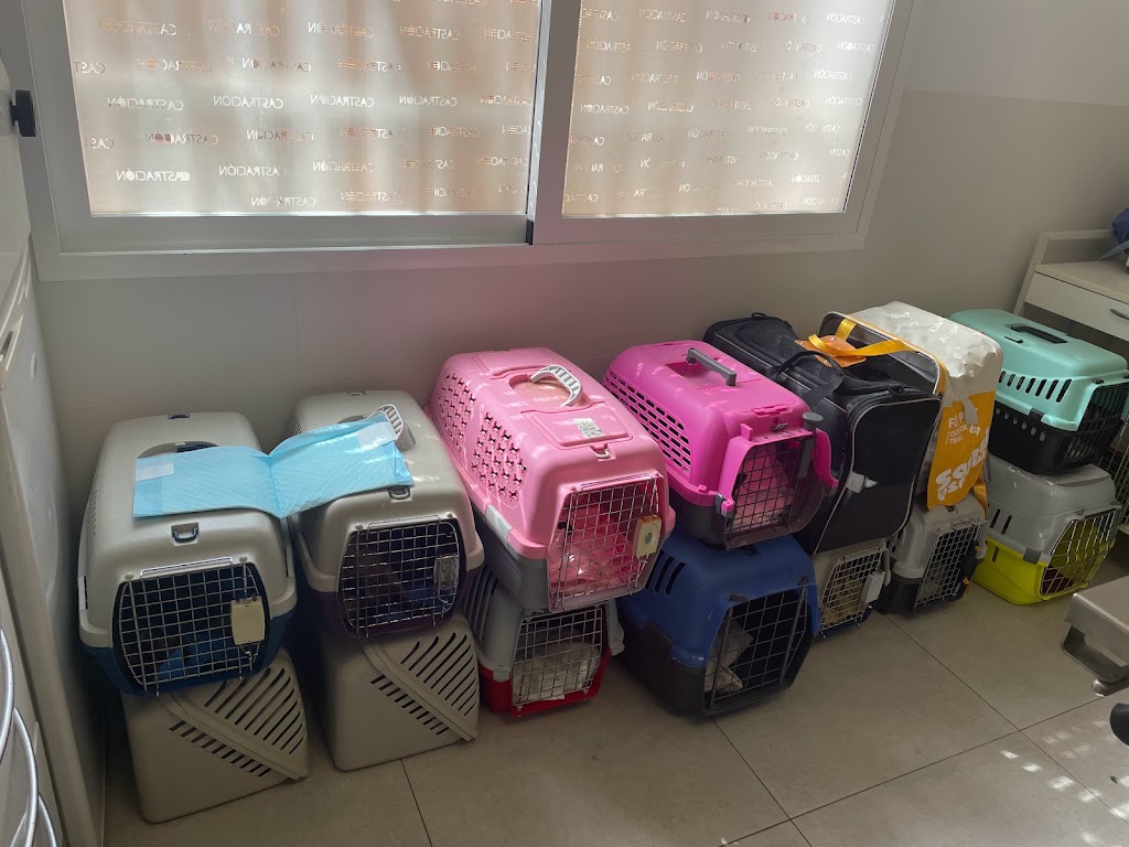 Granavet Cartagena, Clinica Veterinaria especializada en castraciones — Del propietario