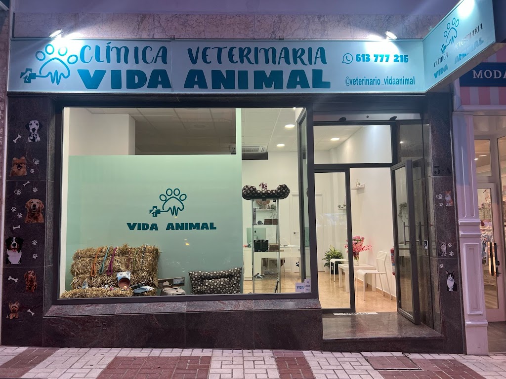 Clinica Veterinaria Vida Animal