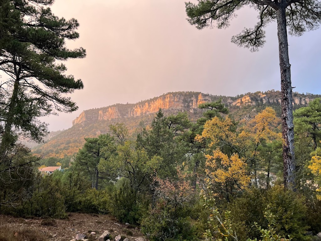 Mirador del camarero