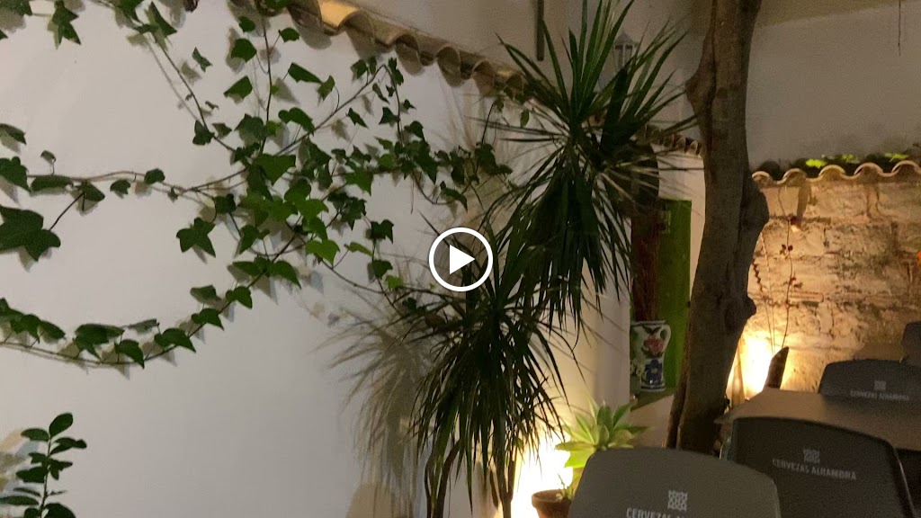 Trattoria Pizzeria da Edoardo — Videos