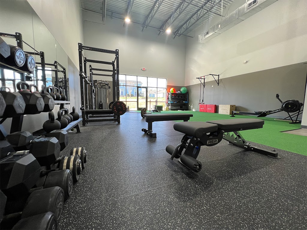  Momentum Performance