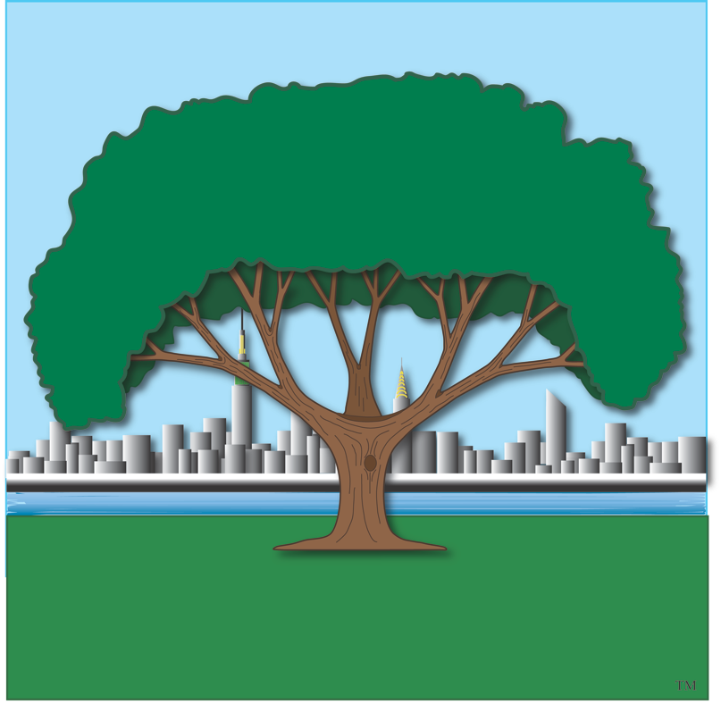  Park City Gymnastics Ltd.