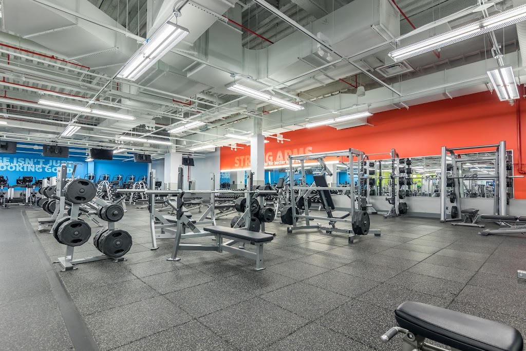  Blink Fitness (PureGym)