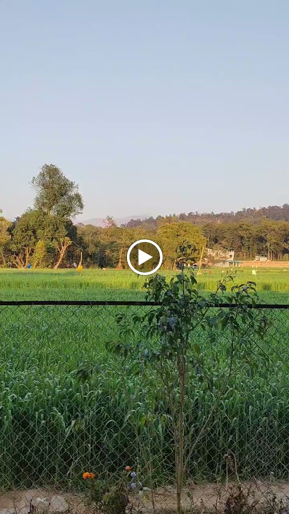 Videos